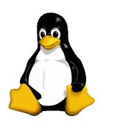Immagine I cracker rallentano la diffusione di Linux?